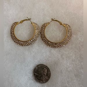 1 Pair of AD Hoops Earrings